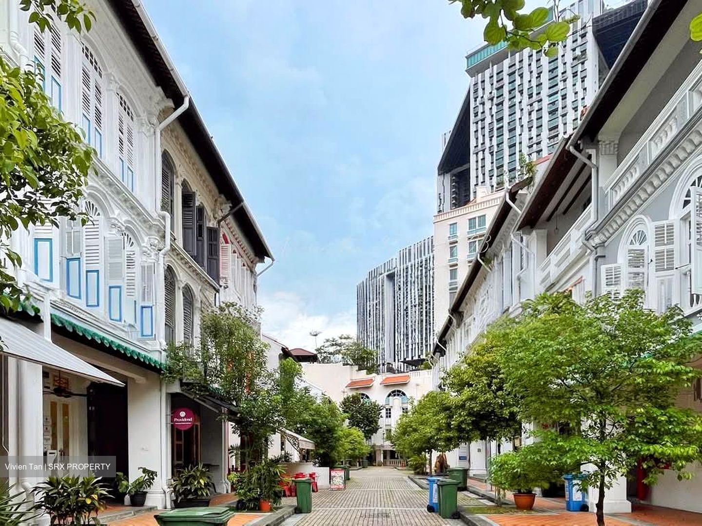 Tanjong Pagar Conservation Area (D2), Shop House #533103521